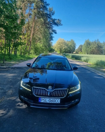 Skoda Superb cena 78500 przebieg: 175650, rok produkcji 2017 z Leszno małe 379